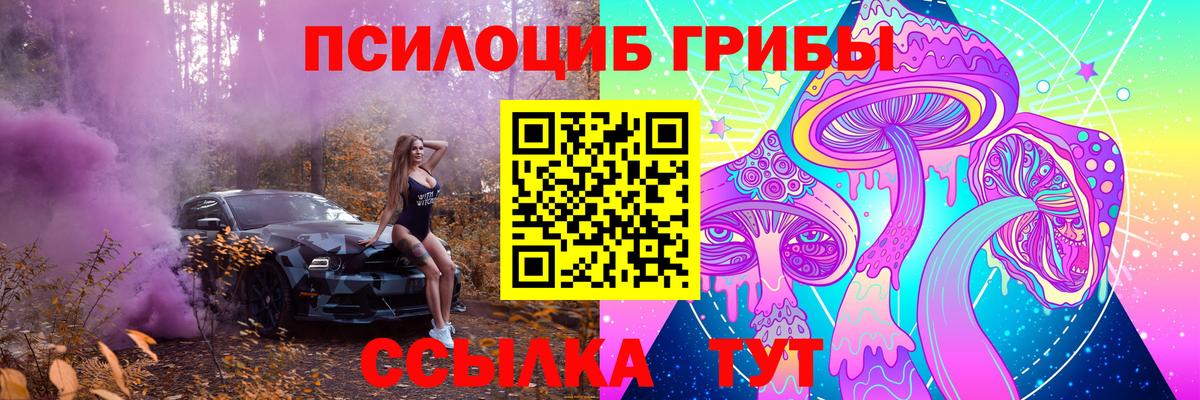 Лесосибирск  Псилоцибиновые грибы мицелий  Вход с VPN  цены наркотик  Псилоцибиновые грибы Magic Shrooms 