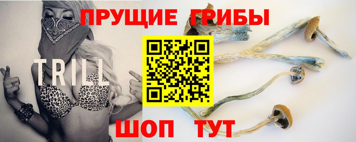 Псилоцибиновые грибы MAGIC MUSHROOMS Лесосибирск